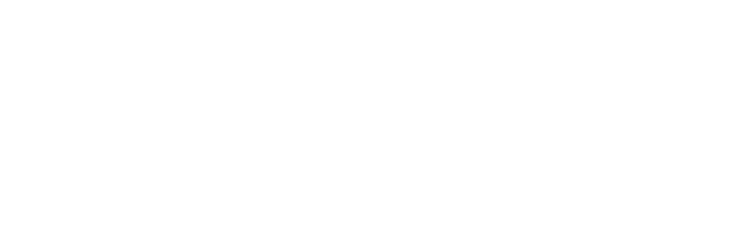 Oasis Shoes